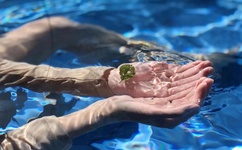 祼体美女自抠图